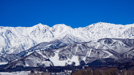 快晴の空と冠雪の北アルプス　長野県白馬村
