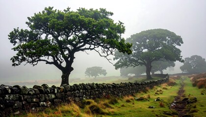 Misty Meadow Path with Ancient Stone Wall and Majestic Trees