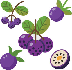 Vibrant purple berries with green leaves, depicted in a charming illustration.