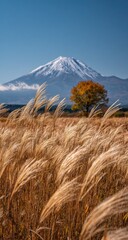 Golden grass field, autumnal colors, snowy mountain peak