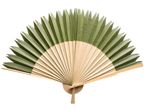 Palm leaf fan for cooling, isolated on white background