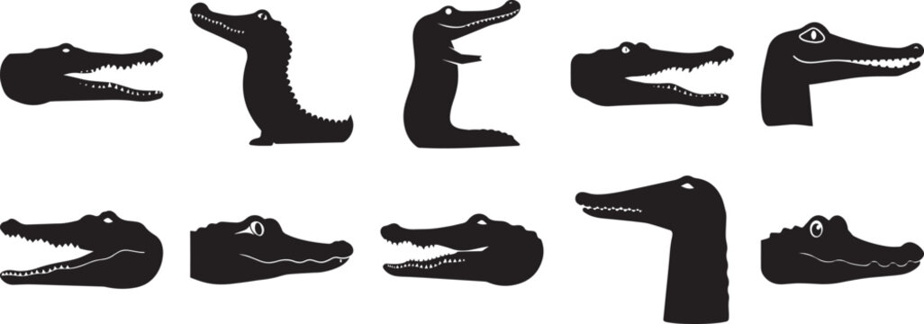 A group of Alligator head silhouette vector, black and white silhouette vector illustration