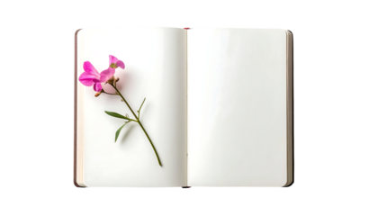 Open notebook with single pink flower stem delicately placed on left page, blank pages, overhead view