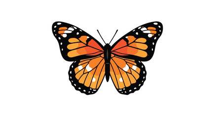 Vibrant butterfly illustration with symmetrical wings and striking orange and black pattern on a clean white background