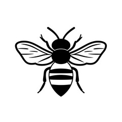 Obraz premium Minimalist black and white bee illustration with striped body and detailed clear wings vector design insect pollinator symbol graphic art