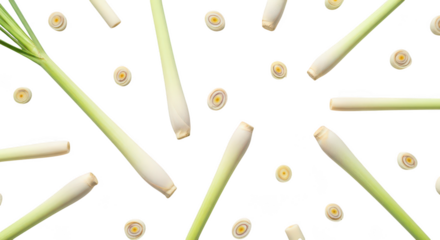 Lemongrass Stalks Slices Pattern