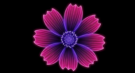 Neon Glowing Cosmos Flower with Symmetrical Neon Pink and Purple Glow