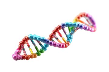 Colorful DNA double helix (12)
