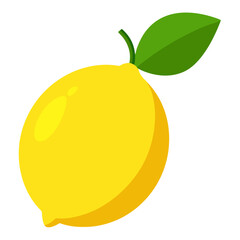 vector illustration of citron fruit