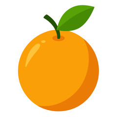 vector illustration of citrofortunella fruit