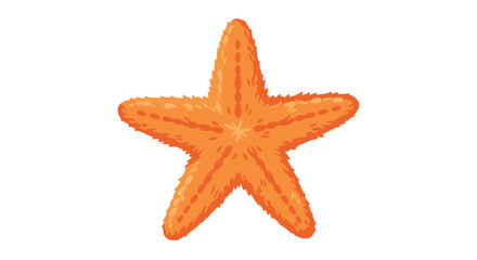 Vibrant starfish illustration on a clean white backdrop enhancing design versatility showcasing marine life and its symbolic associations as a
