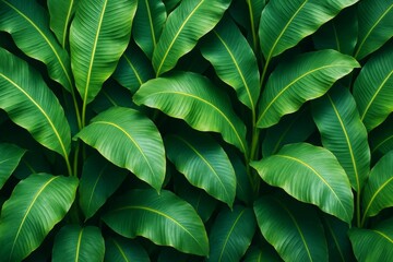 Tropical banana palm leaves overlapping in dense pattern with vibrant green hues and light accents on dark background, abstract nature concept. Ai generative