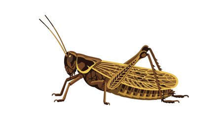 Detailed vector illustration depicting a brown grasshopper with textured wings and long antennae isolated on a white backdrop