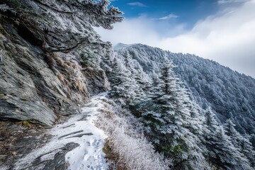 Winter Mountain Landscape Snow Covered Trees and Rocks