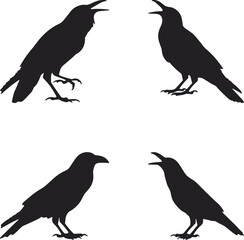 Four silhouette crows perched calling avian communication moment dark birds nature wild flock group