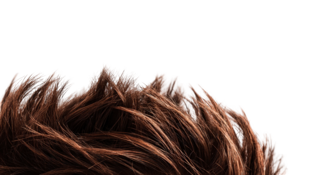 Close-up of brown hair strands