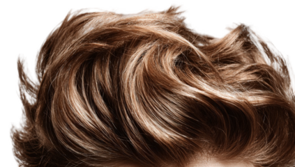 Close-up of styled light brown hair (2)