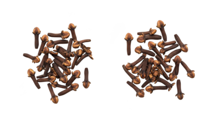 Aromatic Cloves Spice Top View