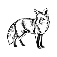 Fox silhouette standing alert, wild animal design, nature-inspired artwork, elegant forest creature, majestic animal profile illustration