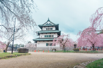 Beautiful Hirosaki Castle park with Sakura Cherry Blossom and Iwaki mount in Spring, traveling in Hirosaki city, Aomori, Tohoku, Japan. Landmark famous in Japan. Travel and Vacation destination