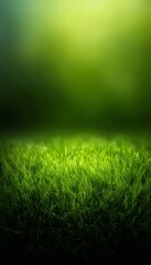 Naklejka premium Lush Green Grass Field Under Soft Glowing Light