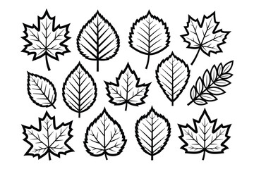 Black and White Leaves Vector Illustration Set