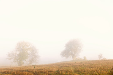 Obraz premium Misty autumn morning in a cultivated landscape