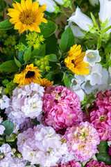 Close up of freshly cut spring flowers in various colors. Beautiful matthiola and sunflowers. Blooms detail shot.