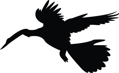 Flying Anhinga bird Silhouette Design And Vector Illustration. 