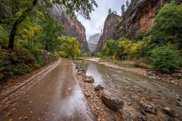 Autumnal canyon vista, wet road