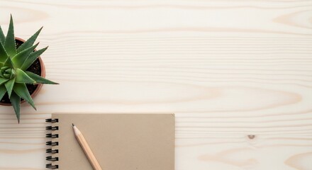 Minimalist Workspace: Aloe Vera, Kraft Notebook, and Pencil on Light Wood