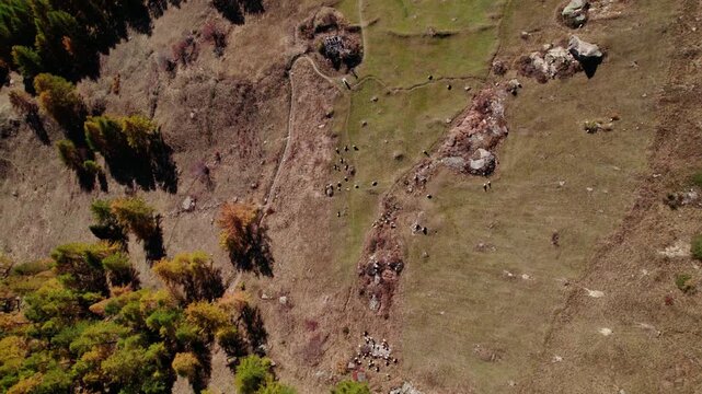 Top down shot of a hill with goats roaming around, L&ouml;tschental, Switzerland