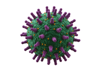 Isolated Coronavirus closeup rendering with spike proteins, surface texture, and detail