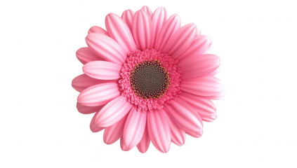 A pink flower with layered petals. intricate details and a central disk. set against a clean white background. ideal for nature-themed projects or designs