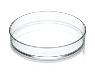 A clear, shallow, cylindrical glass dish with a slightly raised, ridged base and three small, irregular feet