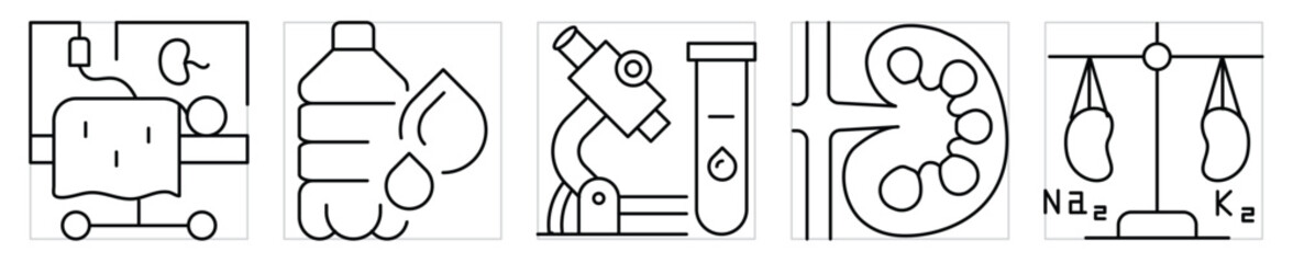 Nephrology icons set. Symbols related to kidney and it's diseases. Vector editable stroke.
