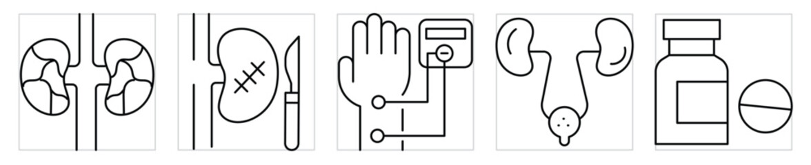 Nephrology icons set. Symbols related to kidney and it's diseases. Vector editable stroke.