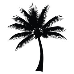 Obraz premium Black silhouette of a single palm tree with large fronds against a white background tropical