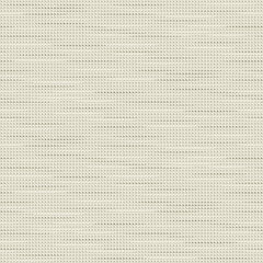 mini jal seamless pattern texture