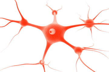 Microscopic 3D rendering of interconnected neurons, showcasing complex neural network structures. background removed