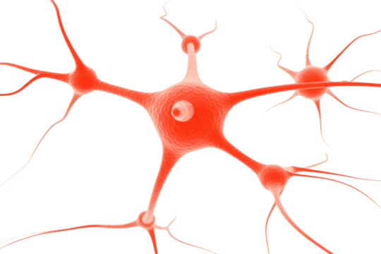 Microscopic 3D rendering of interconnected neurons, showcasing complex neural network structures. background removed
