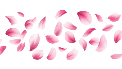 A serene and elegant composition of pink flower petals gracefully falling against a clean white background. symbolizing beauty and tranquility. ideal for nature-themed projects