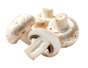 Close-up of four fresh white button mushrooms.  Slightly overlapping caps and stems.  Natural light highlights texture