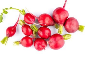 Fresh small red radishes on white background