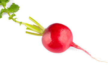 Fresh small red radish on white background