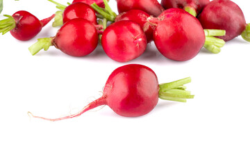 Fresh small red radishes on white background