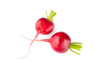 Fresh small red radishes on white background