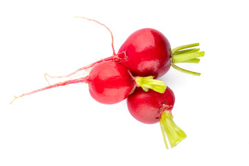 Fresh small red radishes on white background