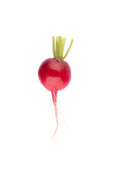 Fresh small red radish on white background
