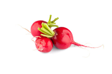 Fresh small red radishes on white background